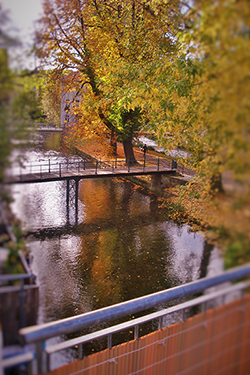 Blick vom Balkon